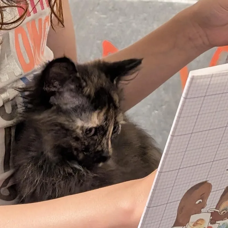 Reese thumbnail 3