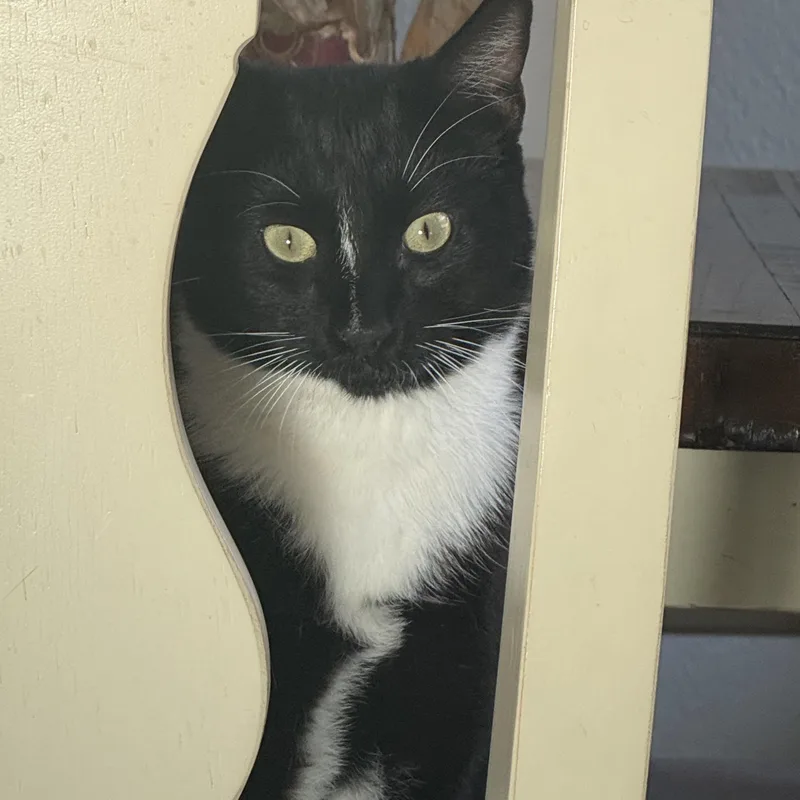 Mittens