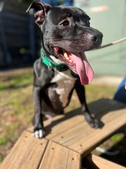 Princess Mya thumbnail 2