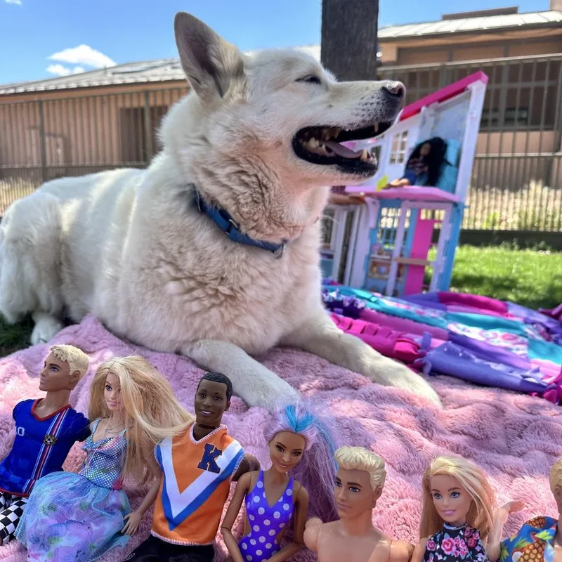 Barbie thumbnail 4