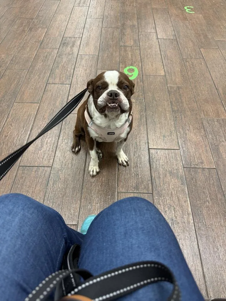 Bessie Lita   thumbnail 2