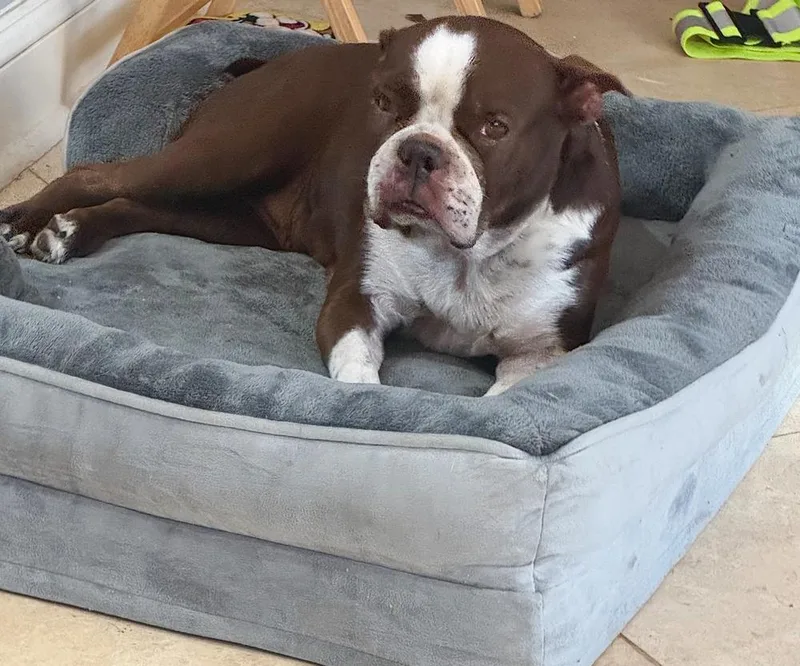 Bessie Lita   thumbnail 3