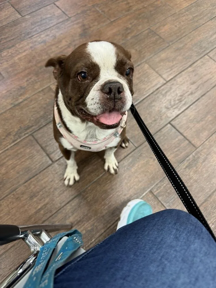 Bessie Lita   thumbnail 6