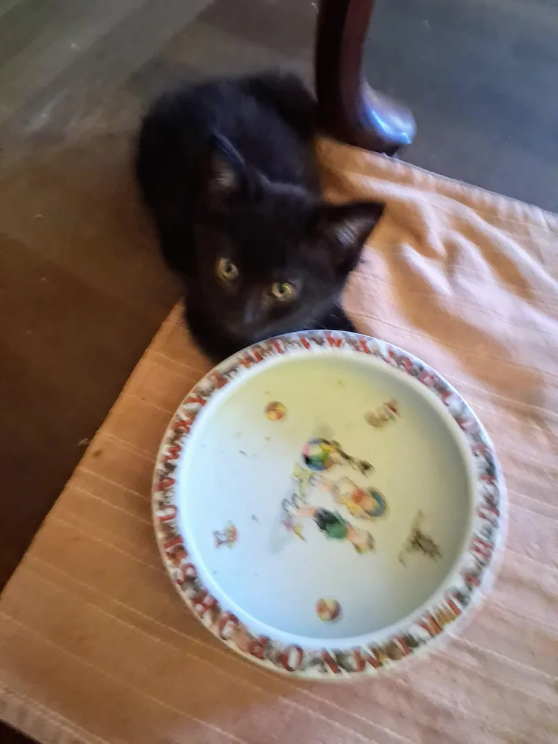 Blackberry thumbnail 4