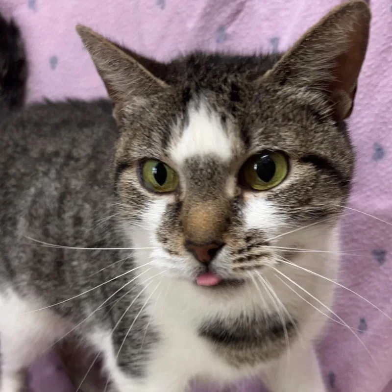 Solstice thumbnail 2