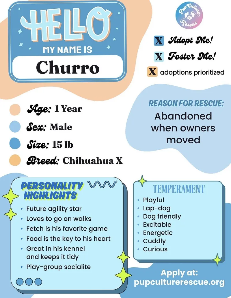 Churro thumbnail 2