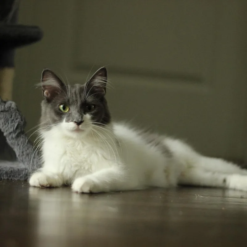 Barbara thumbnail 3