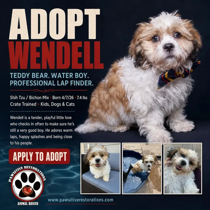 Wendell thumbnail 2