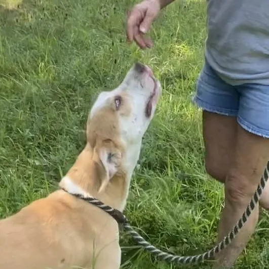 Carolina thumbnail 3