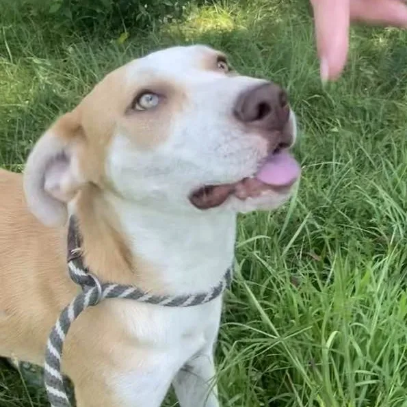 Carolina thumbnail 5