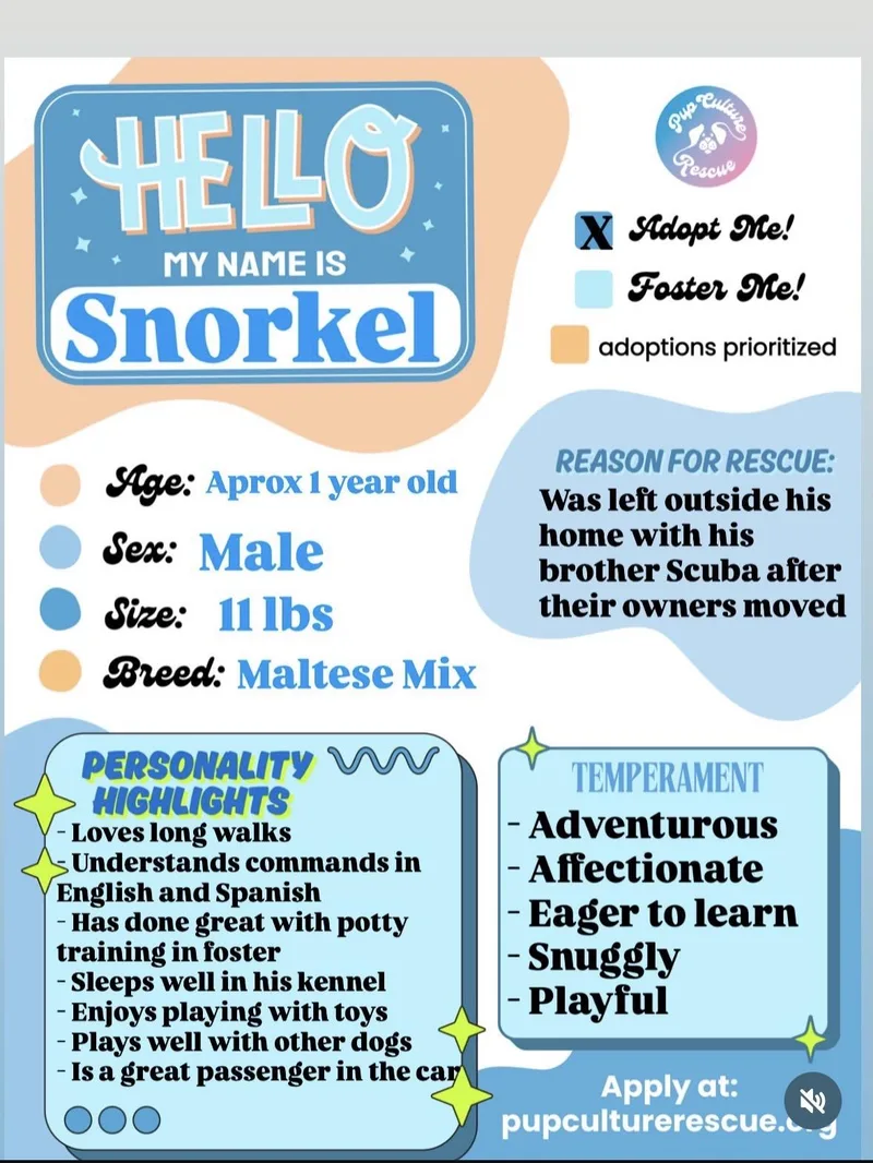 Snorkel thumbnail 4