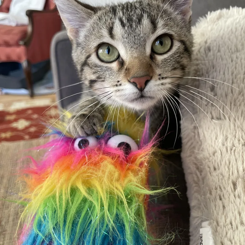 Caramel Apple thumbnail 2