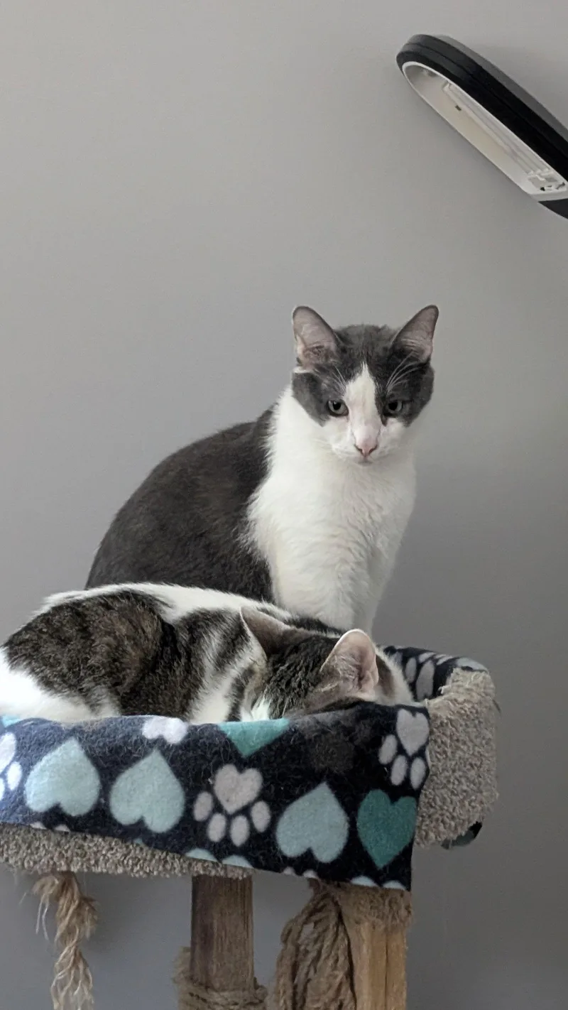 Whiteriver thumbnail 3