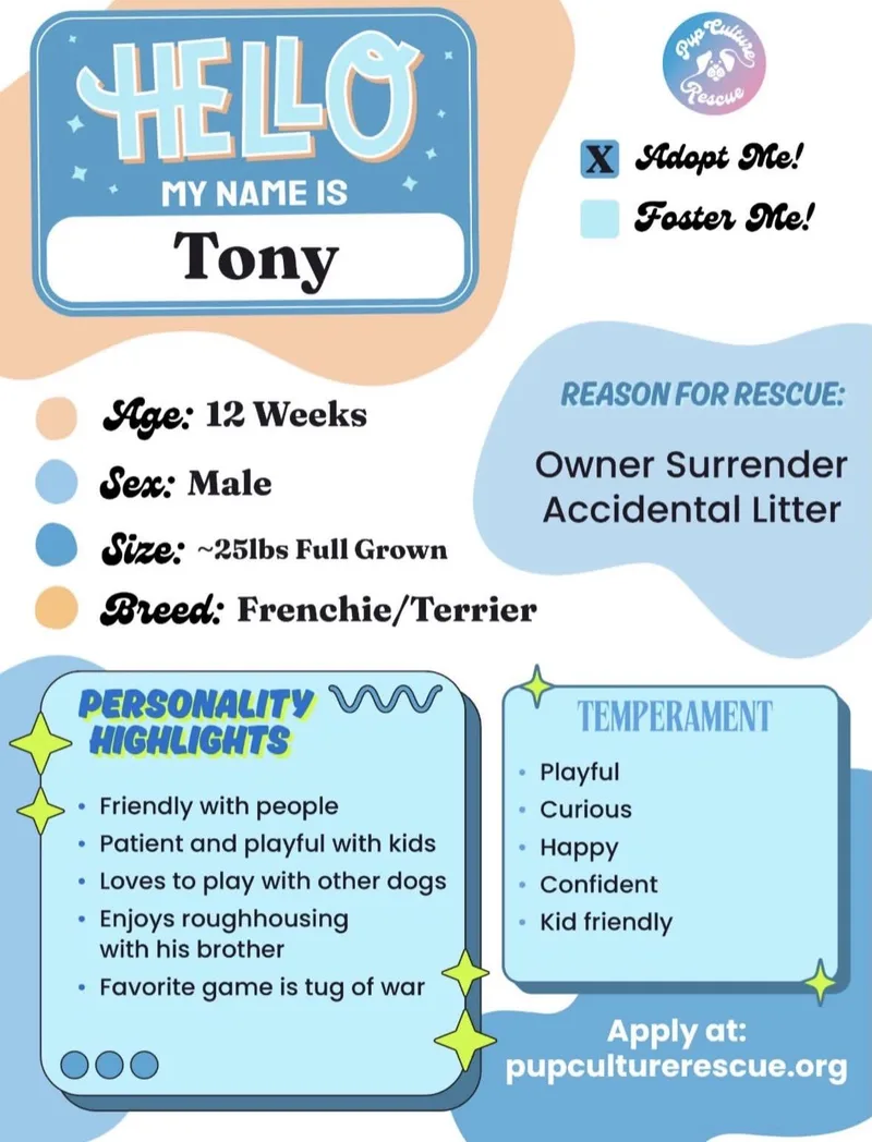 Tony thumbnail 5