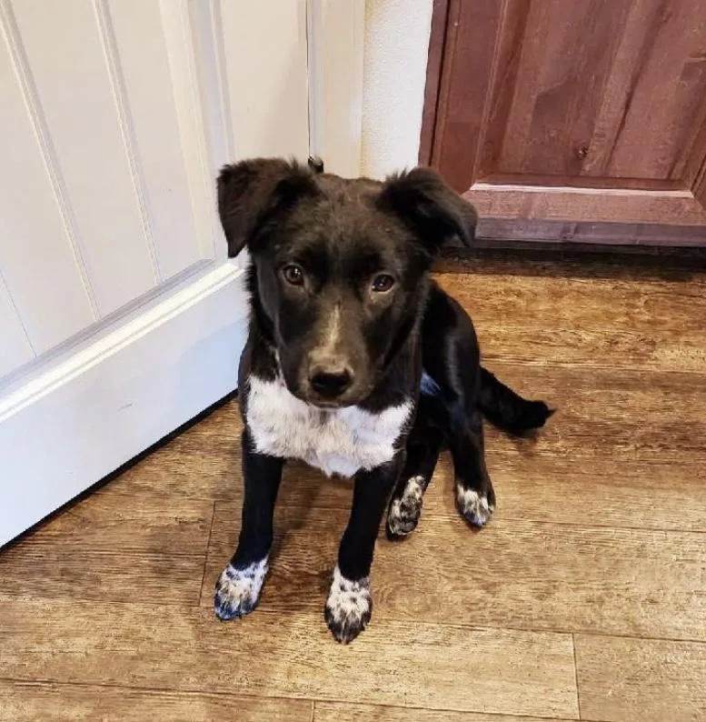 Lucy Lou thumbnail 2