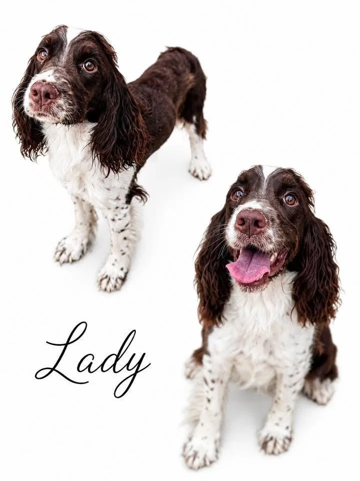 Lady thumbnail 2