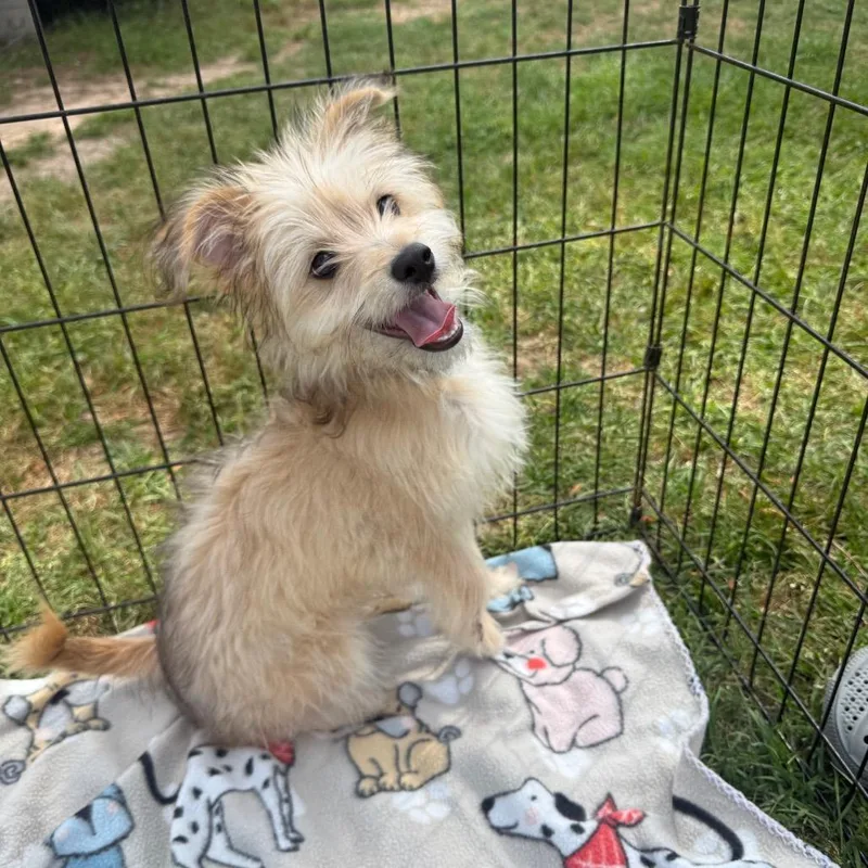 Bobby Nash thumbnail 3