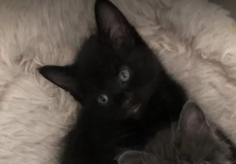 Betty Ff thumbnail 2