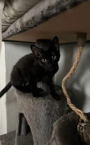 Betty Ff thumbnail 6