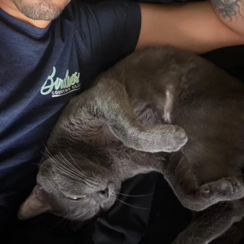 Mr. Whiskers thumbnail 3