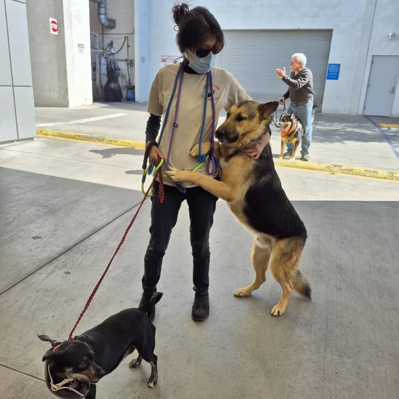 Give Chance A Chance!! thumbnail 2