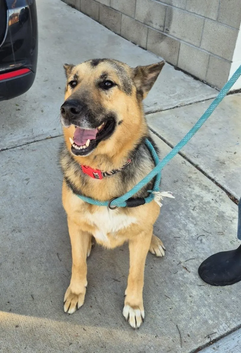 Give Chance A Chance!!