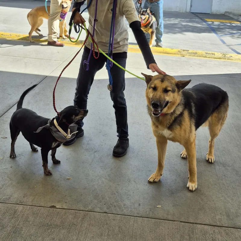 Give Chance A Chance!! thumbnail 3