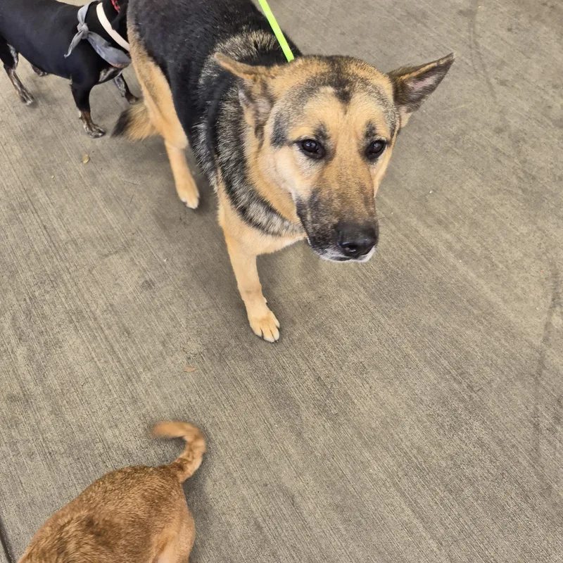 Give Chance A Chance!! thumbnail 4