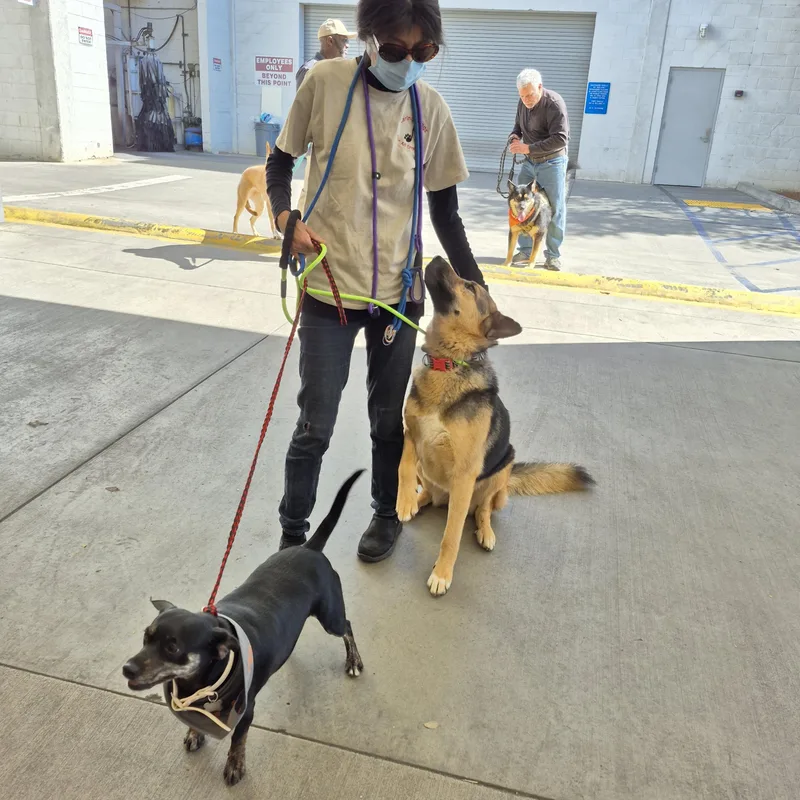 Give Chance A Chance!! thumbnail 5