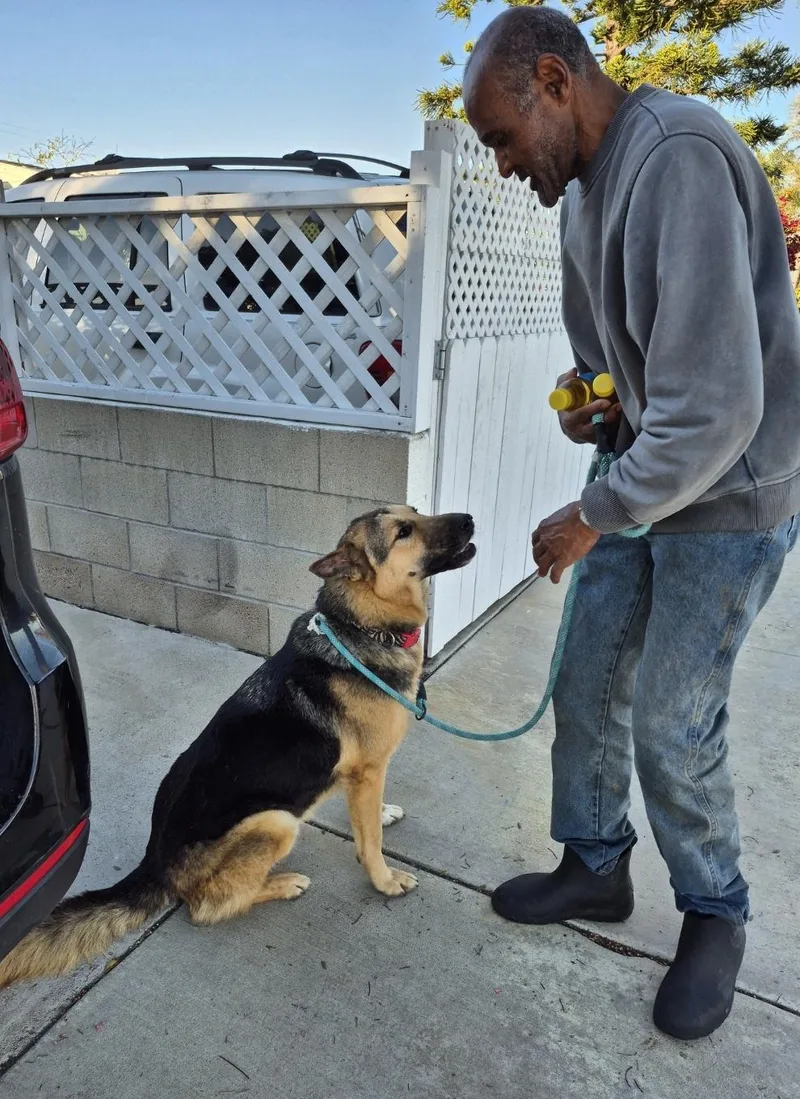 Give Chance A Chance!! thumbnail 6