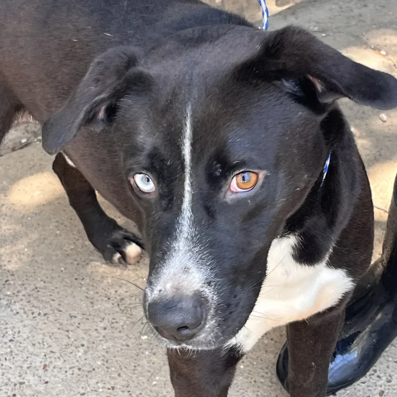 Klondike thumbnail 2