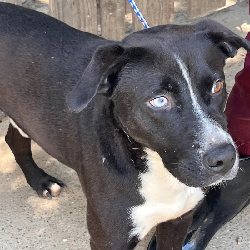 Klondike thumbnail 5