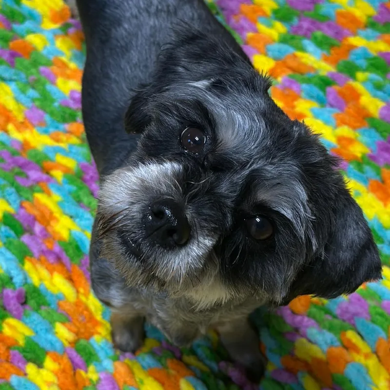 Winn Dixie thumbnail 3