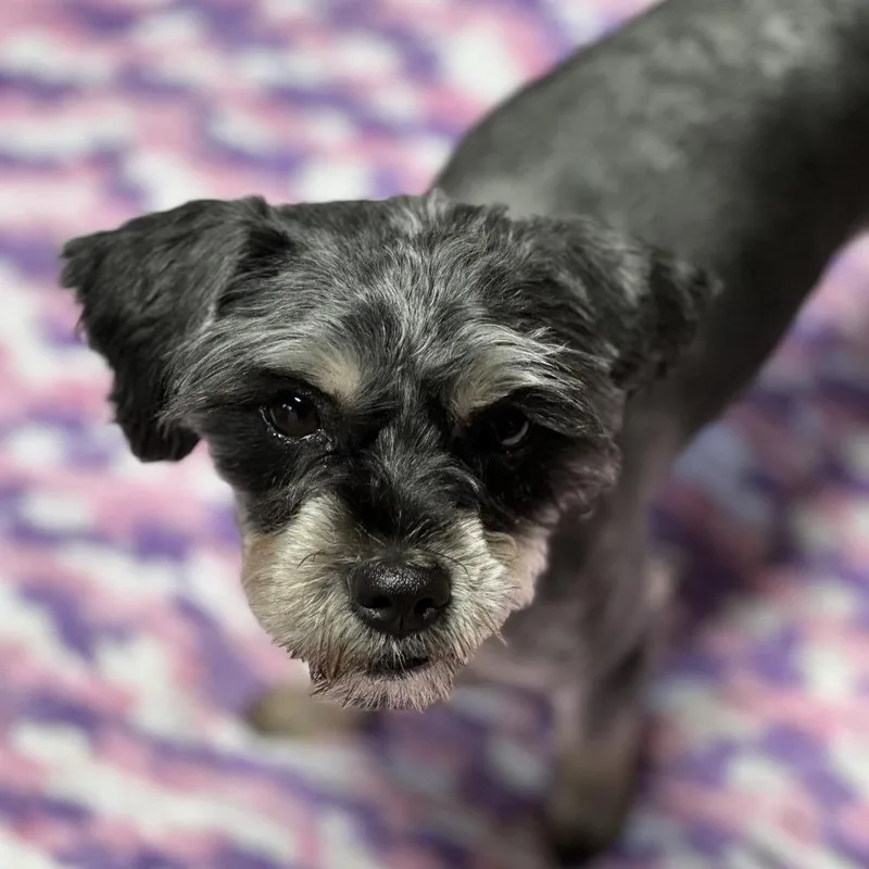 Winn Dixie thumbnail 4