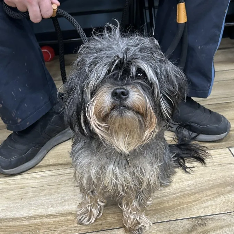 Winn Dixie thumbnail 5