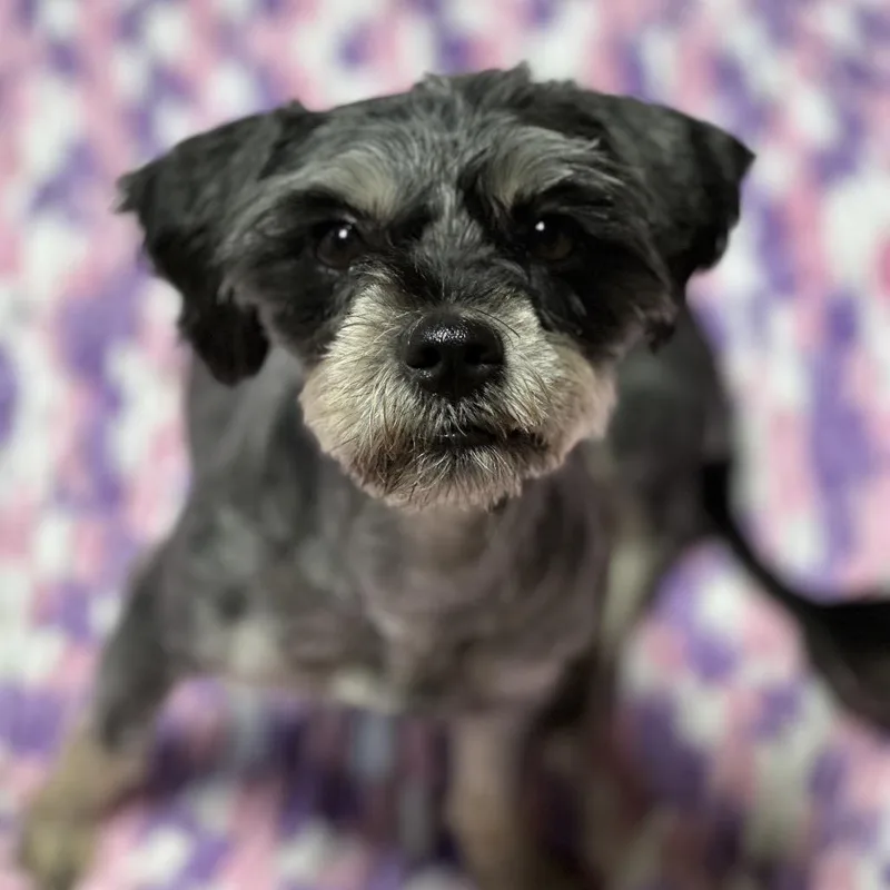 Winn Dixie thumbnail 6