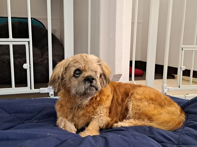 Grandpa Leo thumbnail 2