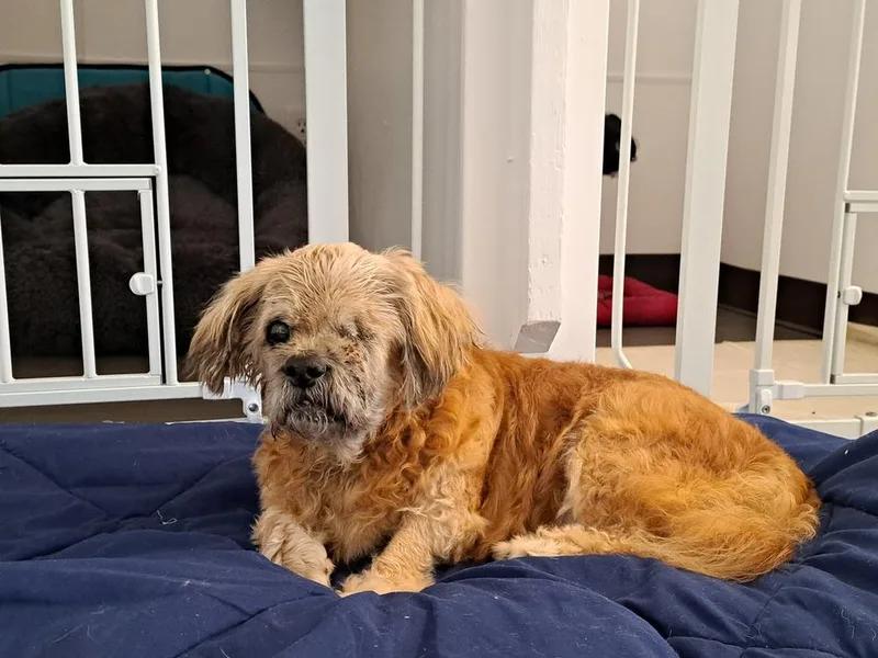 Grandpa Leo thumbnail 4