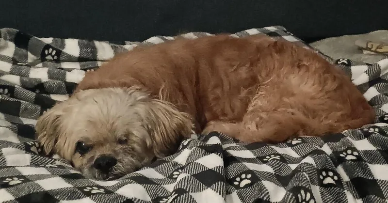 Grandpa Leo thumbnail 5