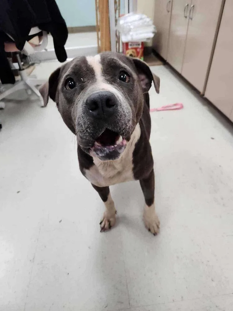 Roxie A 💜 🤍 thumbnail 5