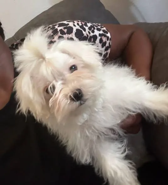 Theodore thumbnail 2