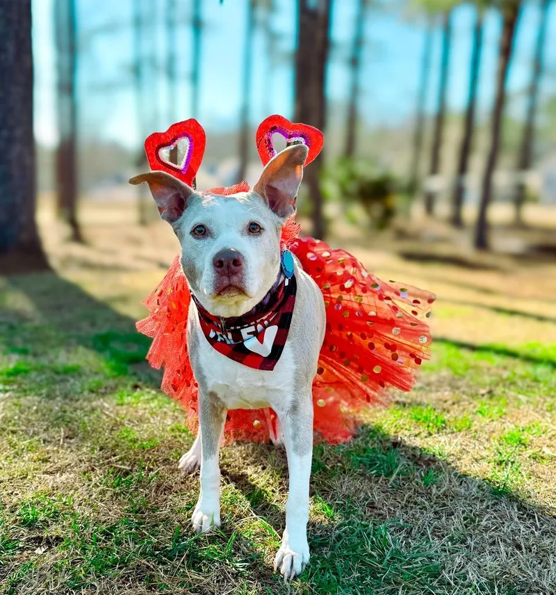 Doris Aka Dora thumbnail 2