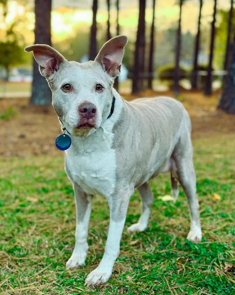 Doris Aka Dora thumbnail 3