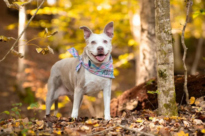 Doris Aka Dora thumbnail 4