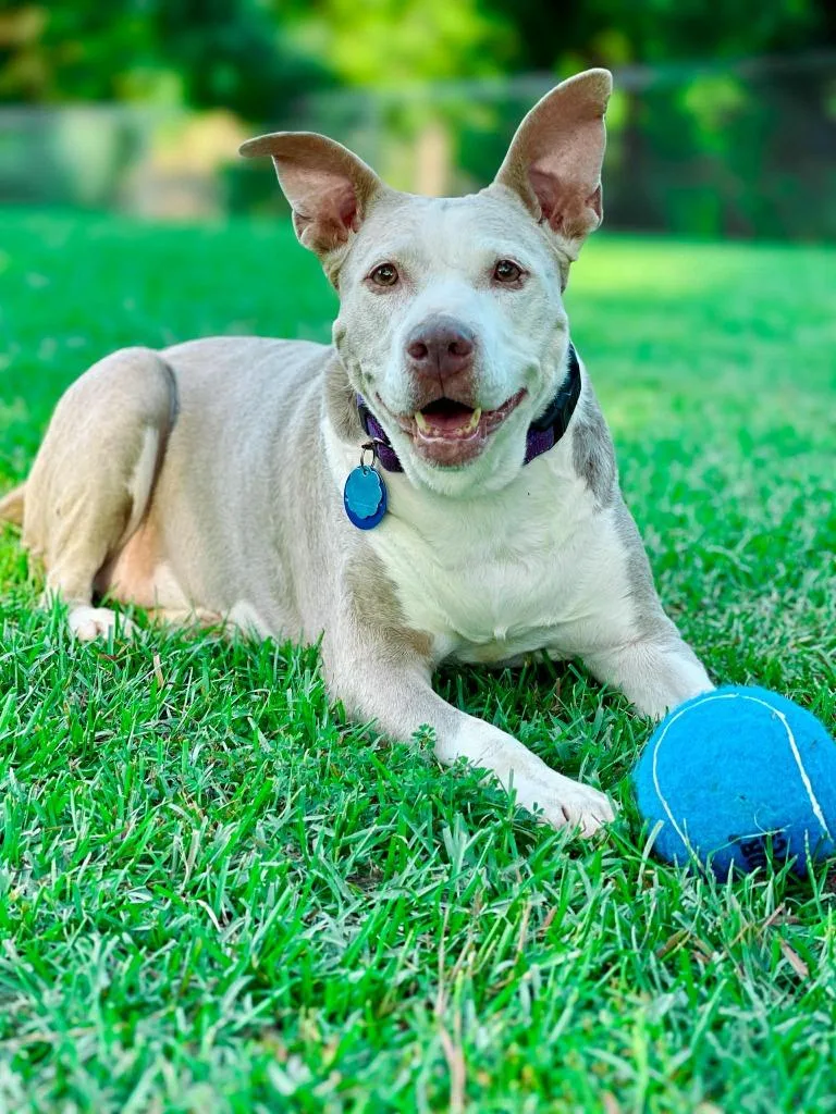 Doris Aka Dora thumbnail 5