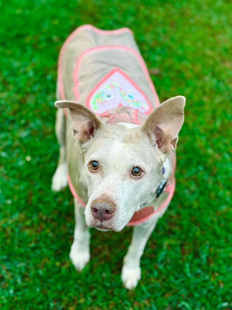 Doris Aka Dora thumbnail 6