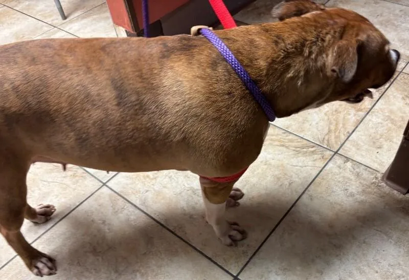 Diamond thumbnail 4
