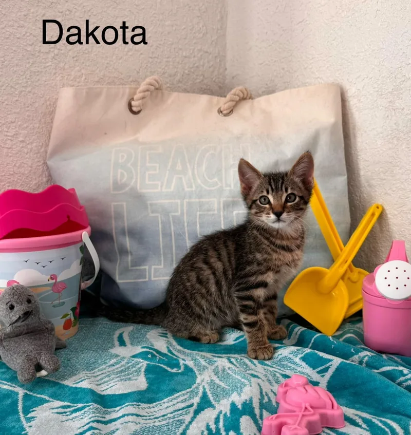 Dakota