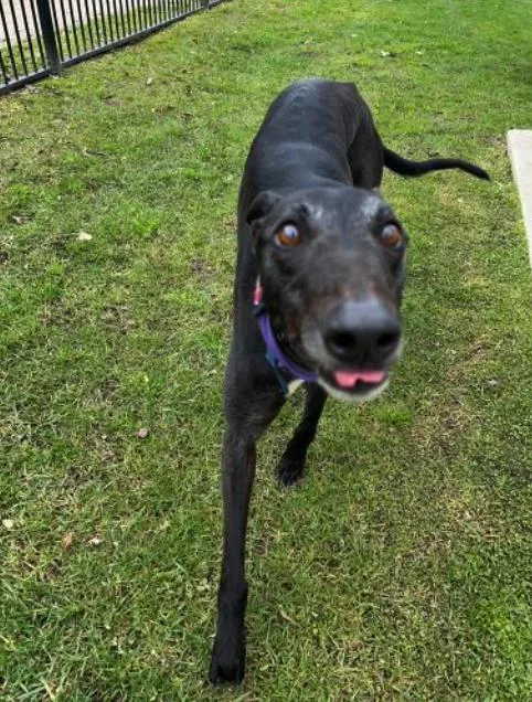 What’s Thy Name thumbnail 2