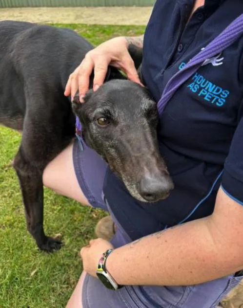 What’s Thy Name thumbnail 3